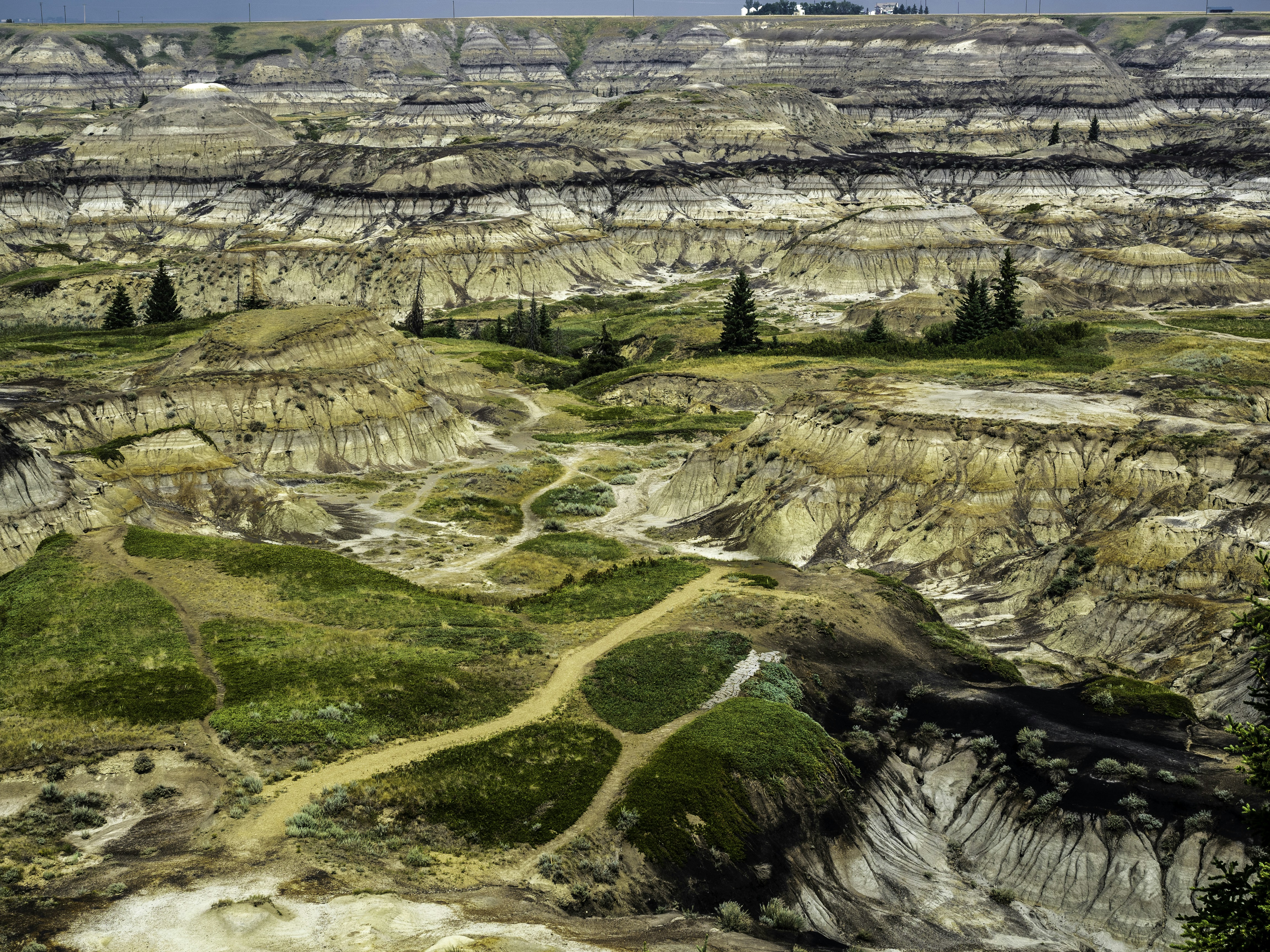 Photo by ronwhitaker