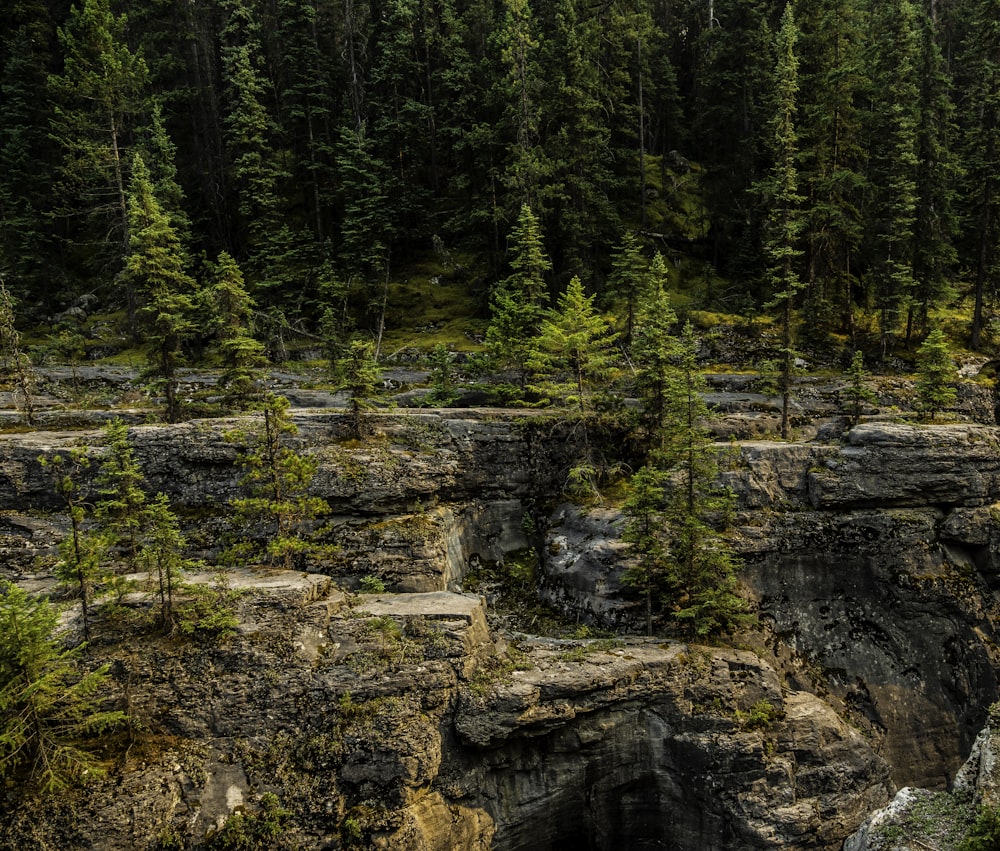 green trees on brown rocky mountain during daytime