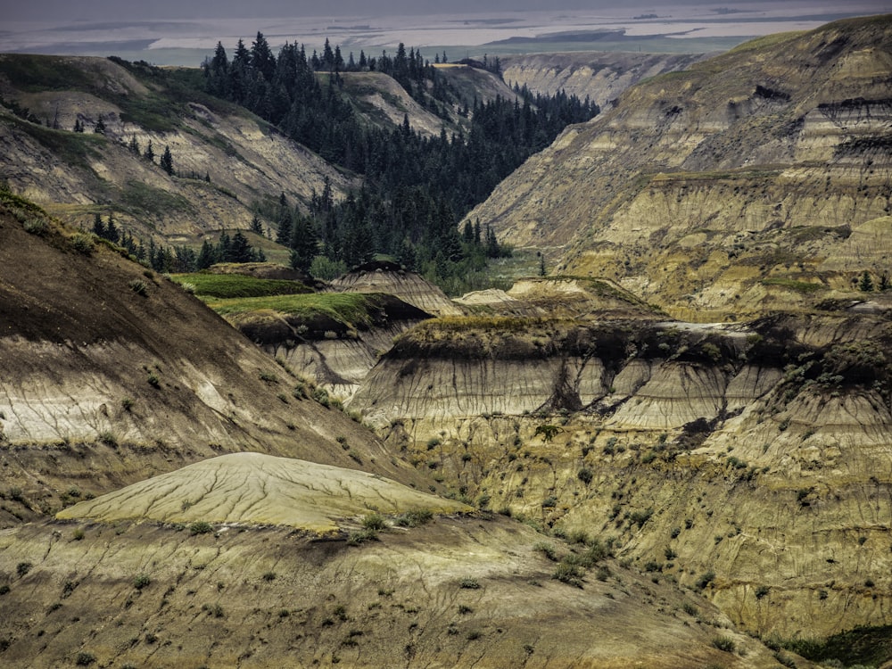 brown and green mountains under white sky during daytime