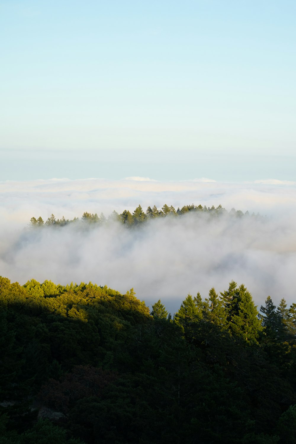 green trees on mountain under white clouds during daytime