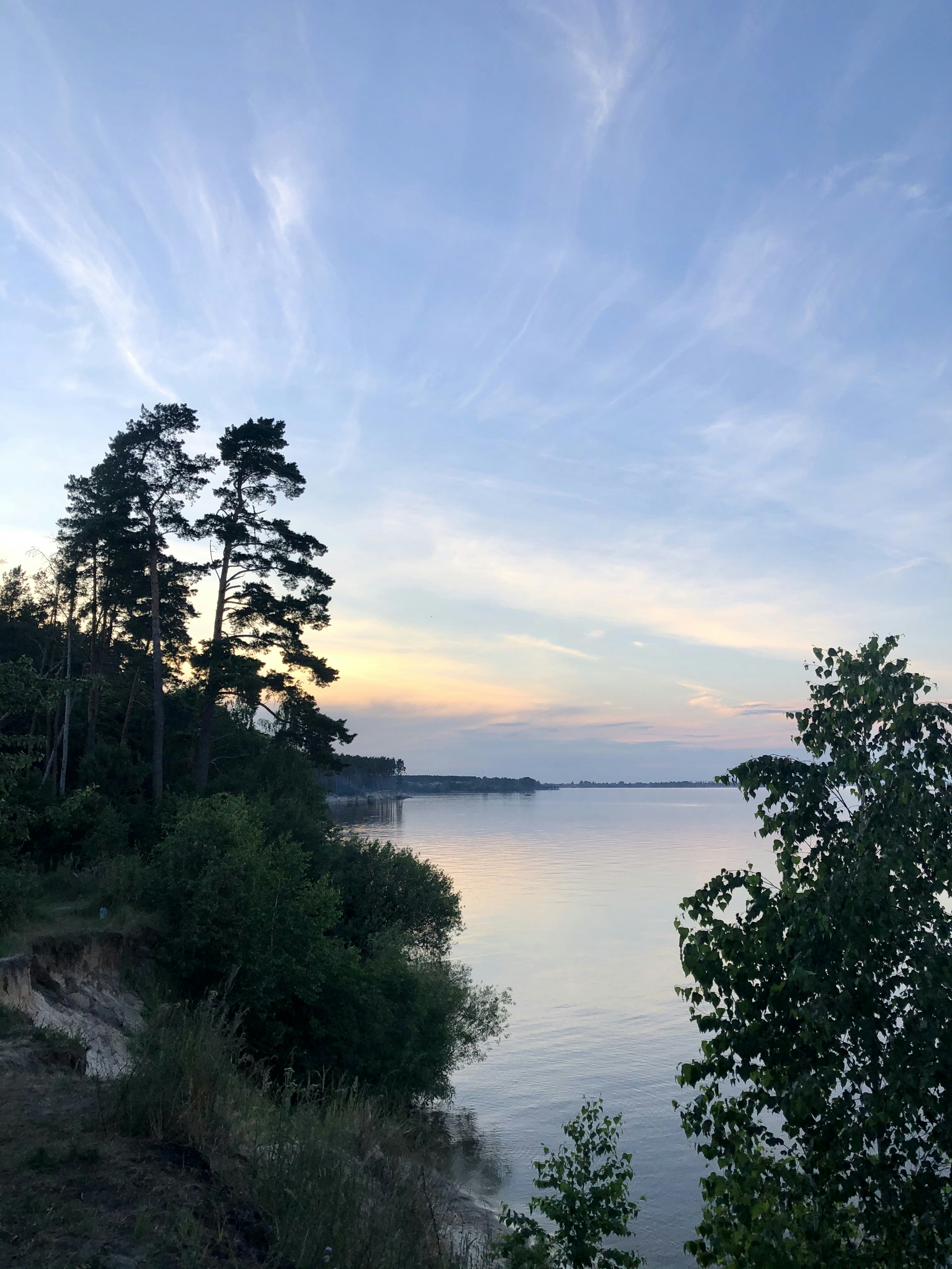 arbres verts près du plan d’eau sous le ciel bleu pendant la journée