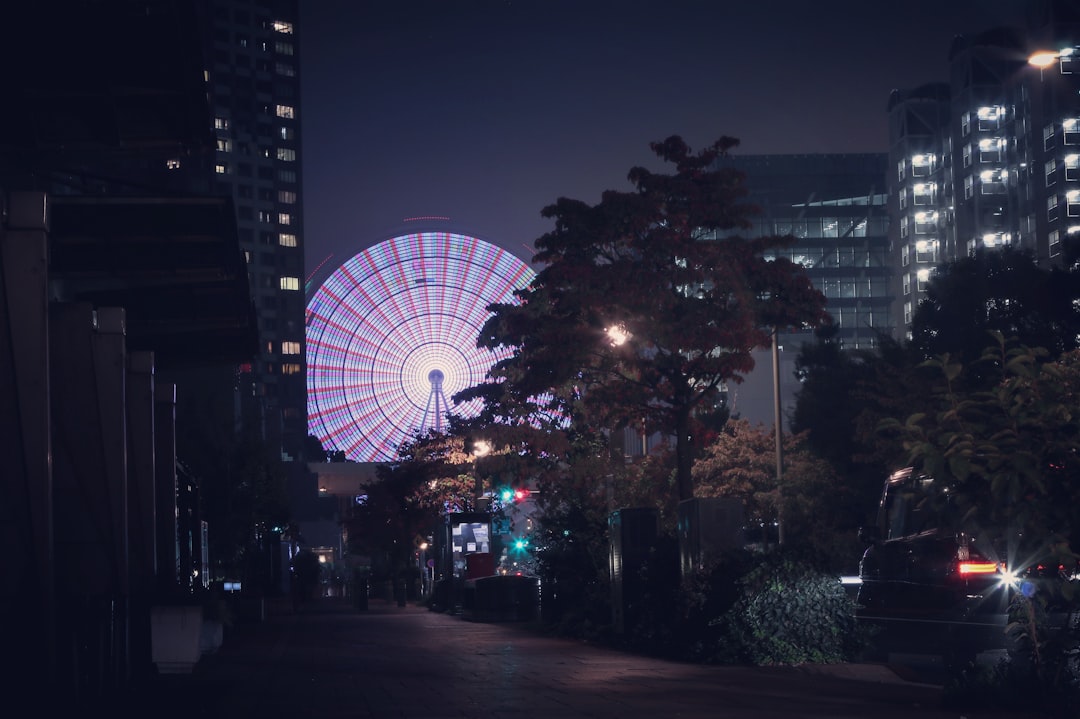 ferris wheel near trees during night time