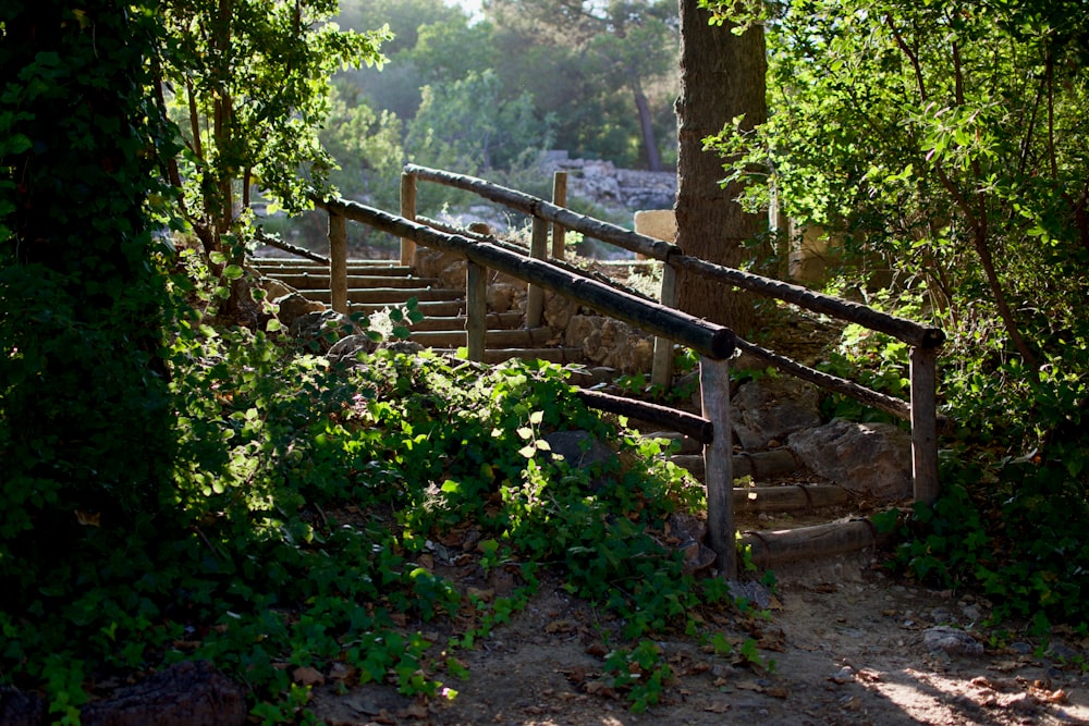 brown wooden staircase near green trees during daytime