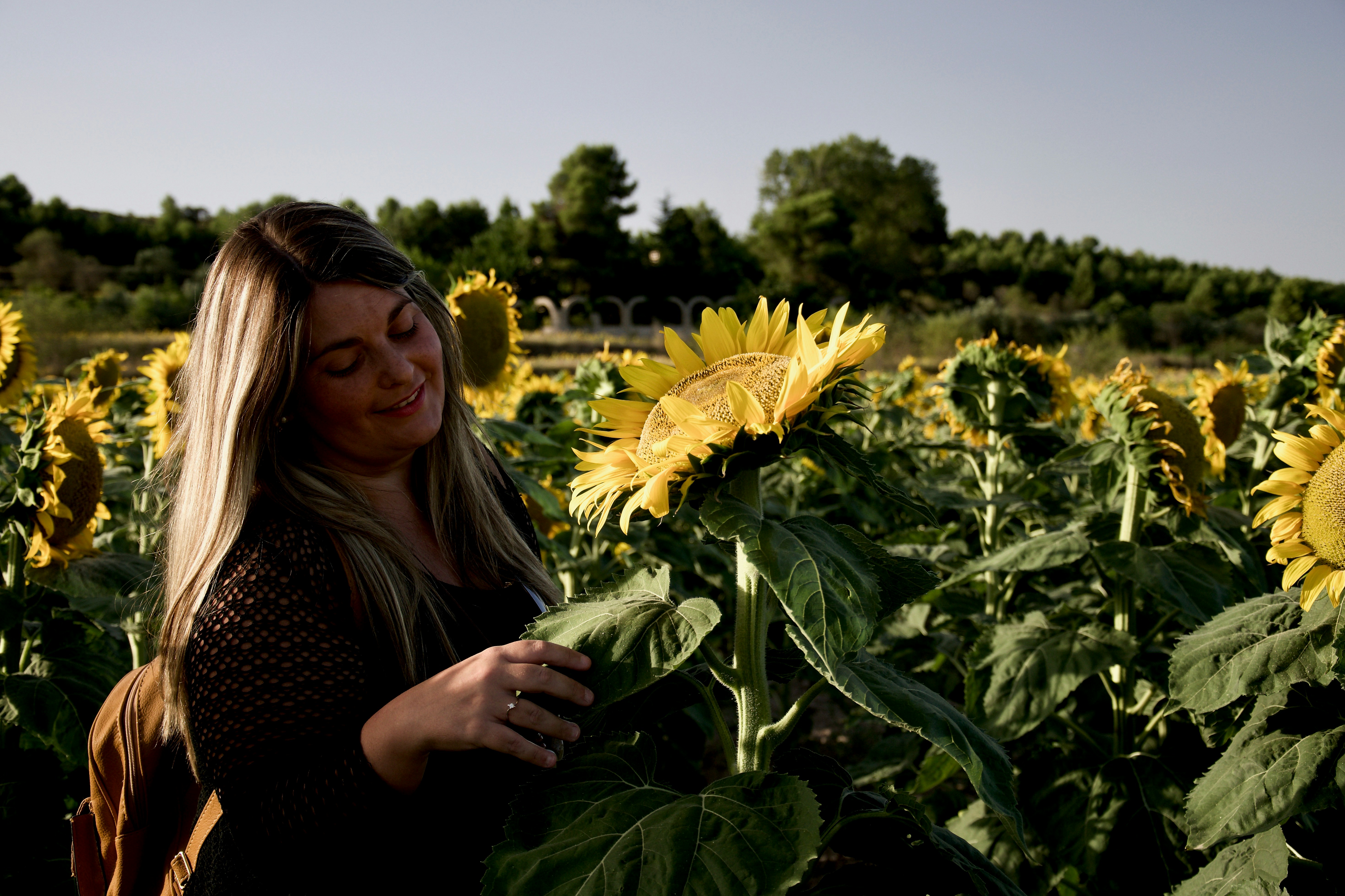 woman in black and red polka dot long sleeve shirt standing on sunflower field during daytime