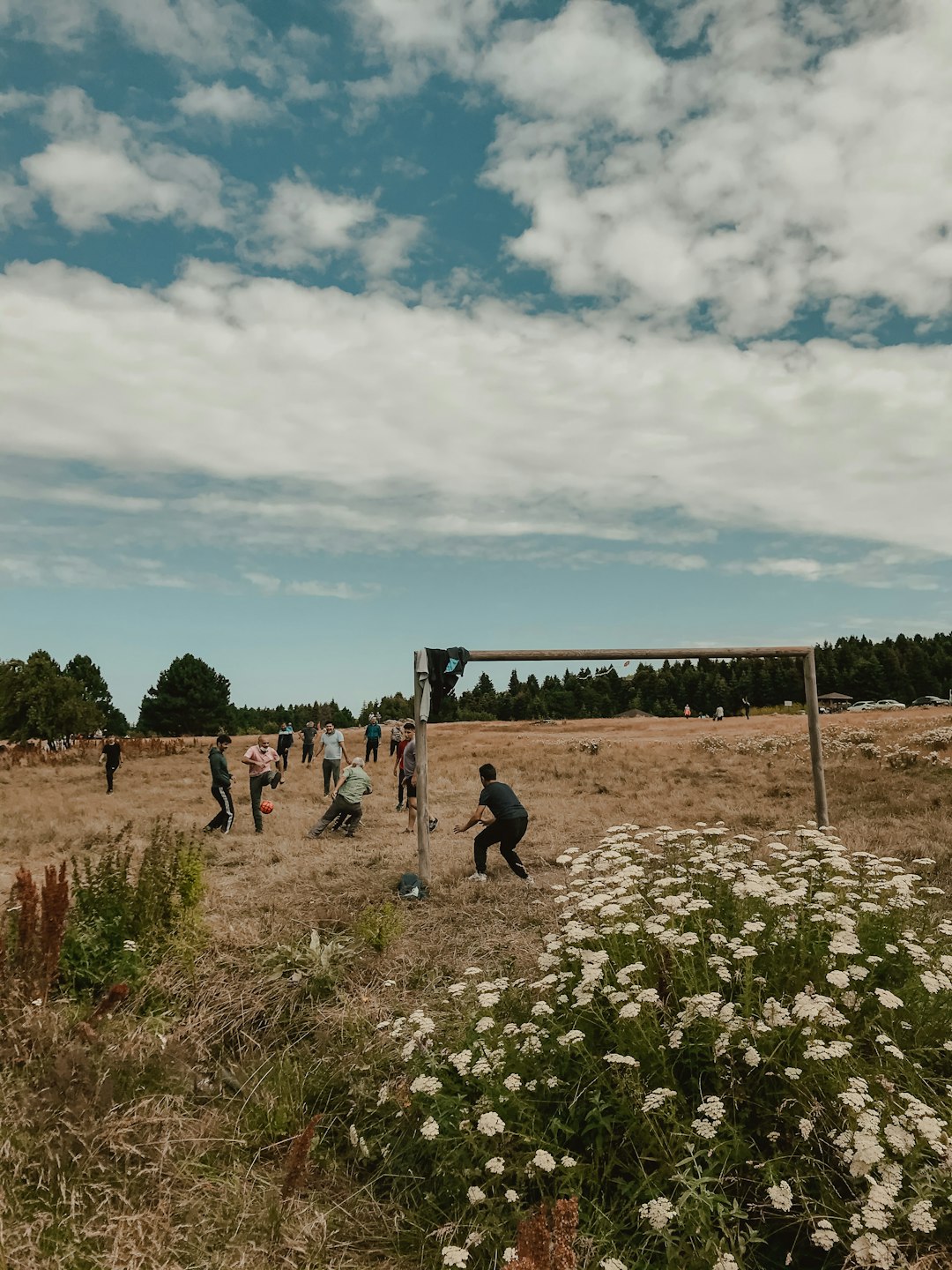 people walking on green grass field during daytime