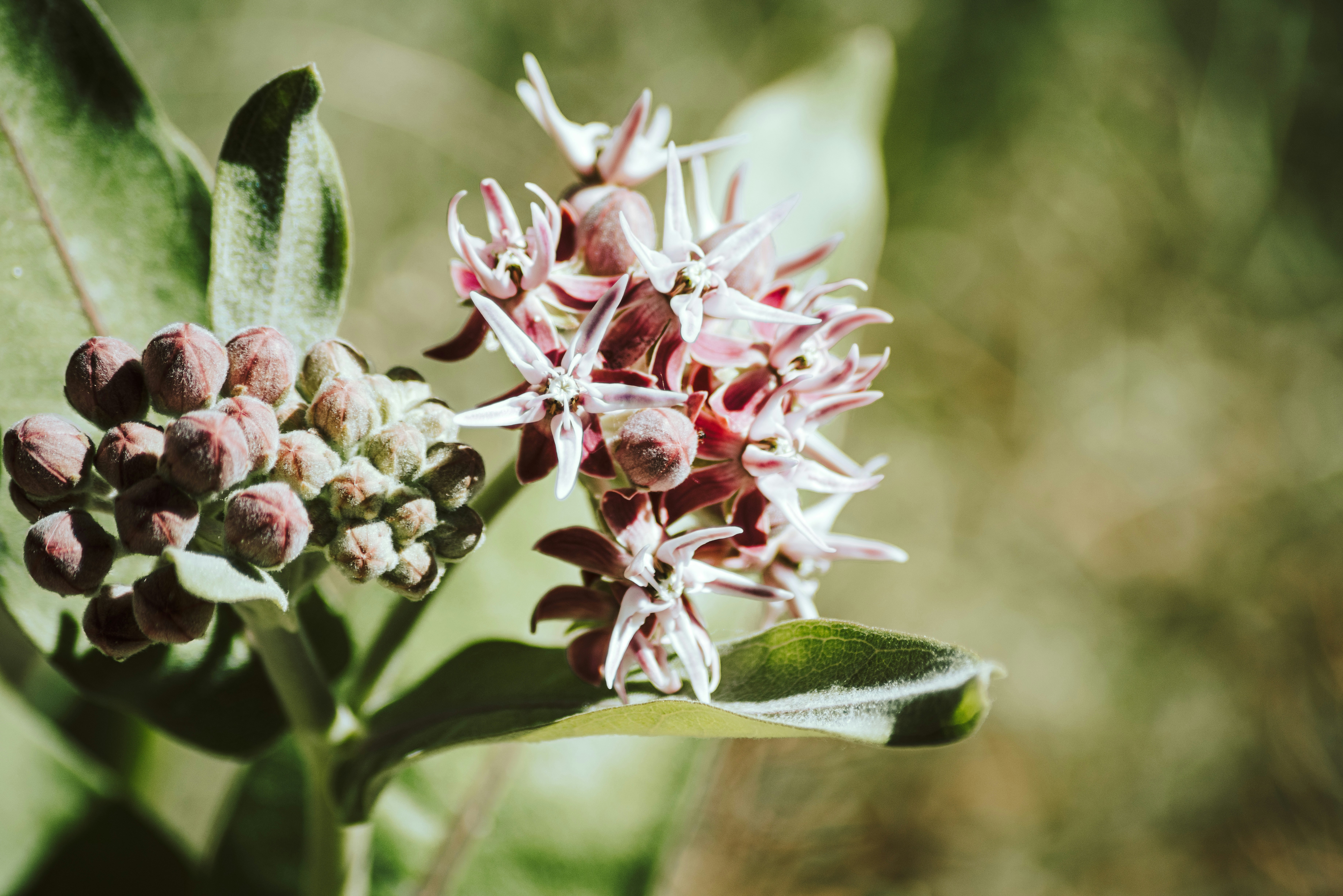 Photo by seitamaaphotography