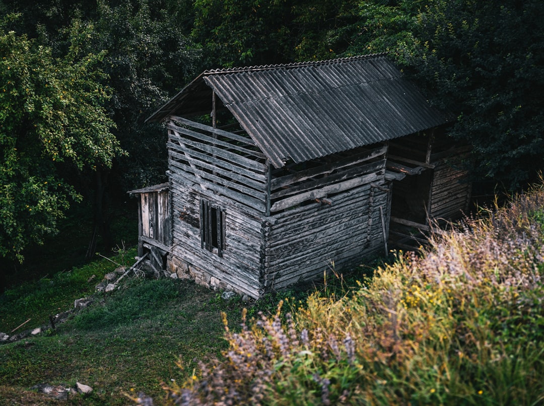 Hut photo spot Nehoiu Romania