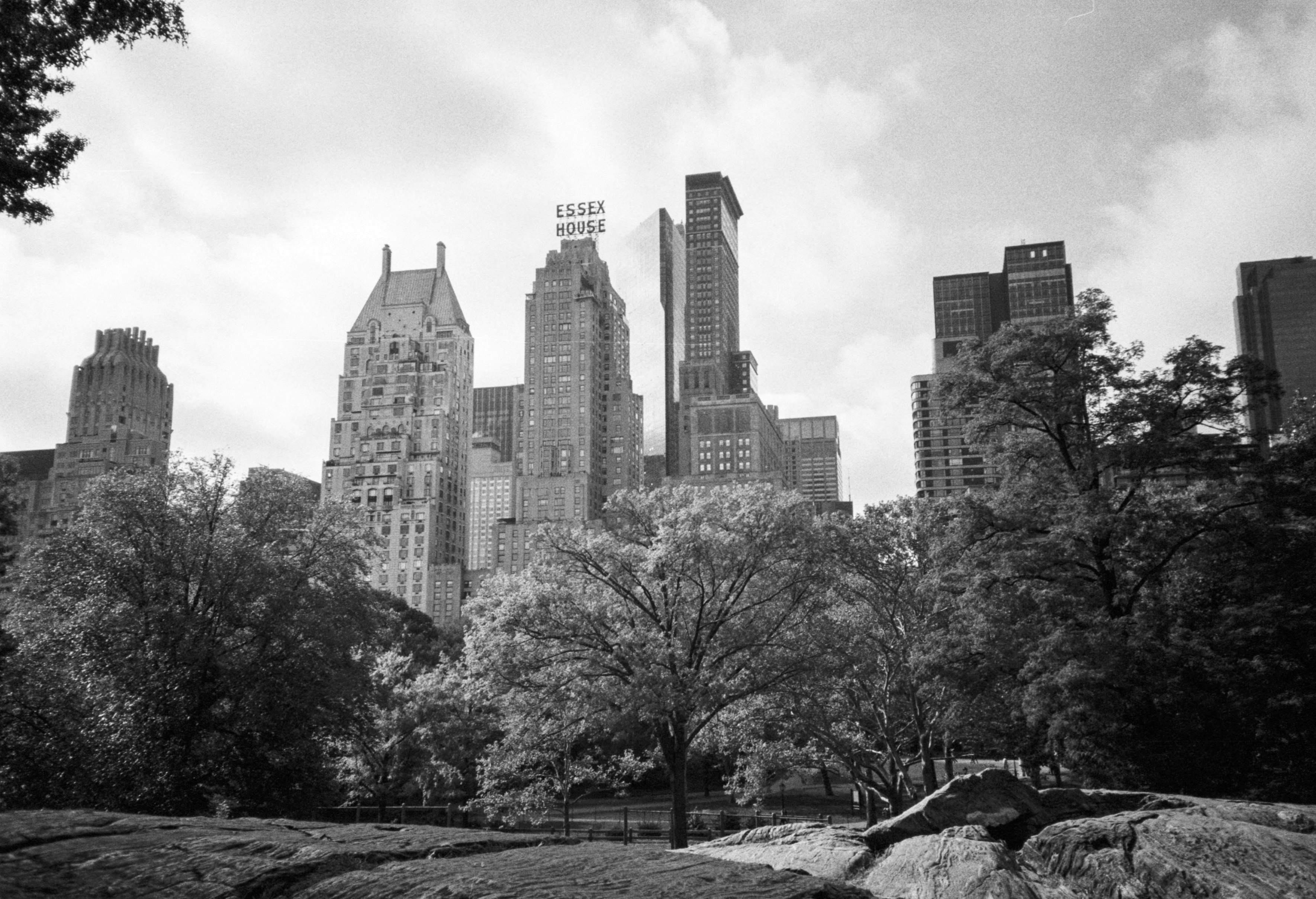 grayscale photo of city buildings