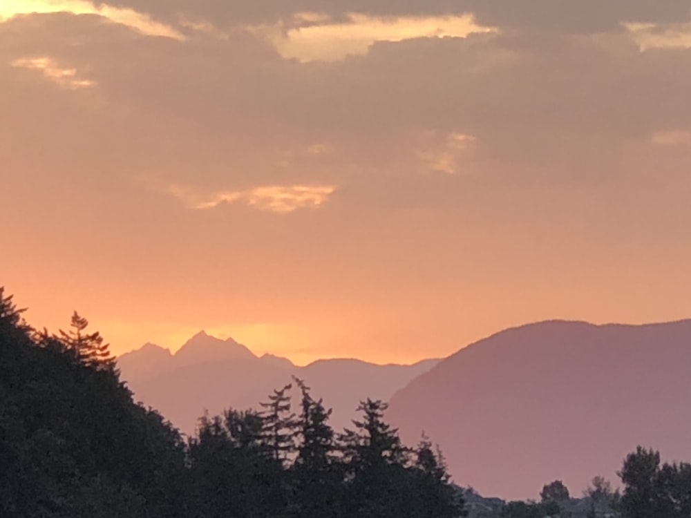 silhouette of trees and mountains during sunset