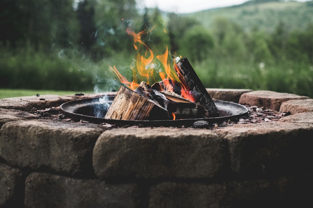 burning wood on fire pit