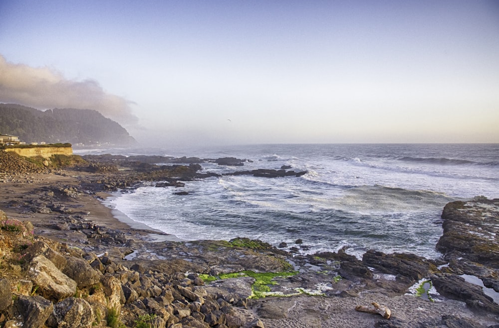 brown and green mountain beside sea during daytime