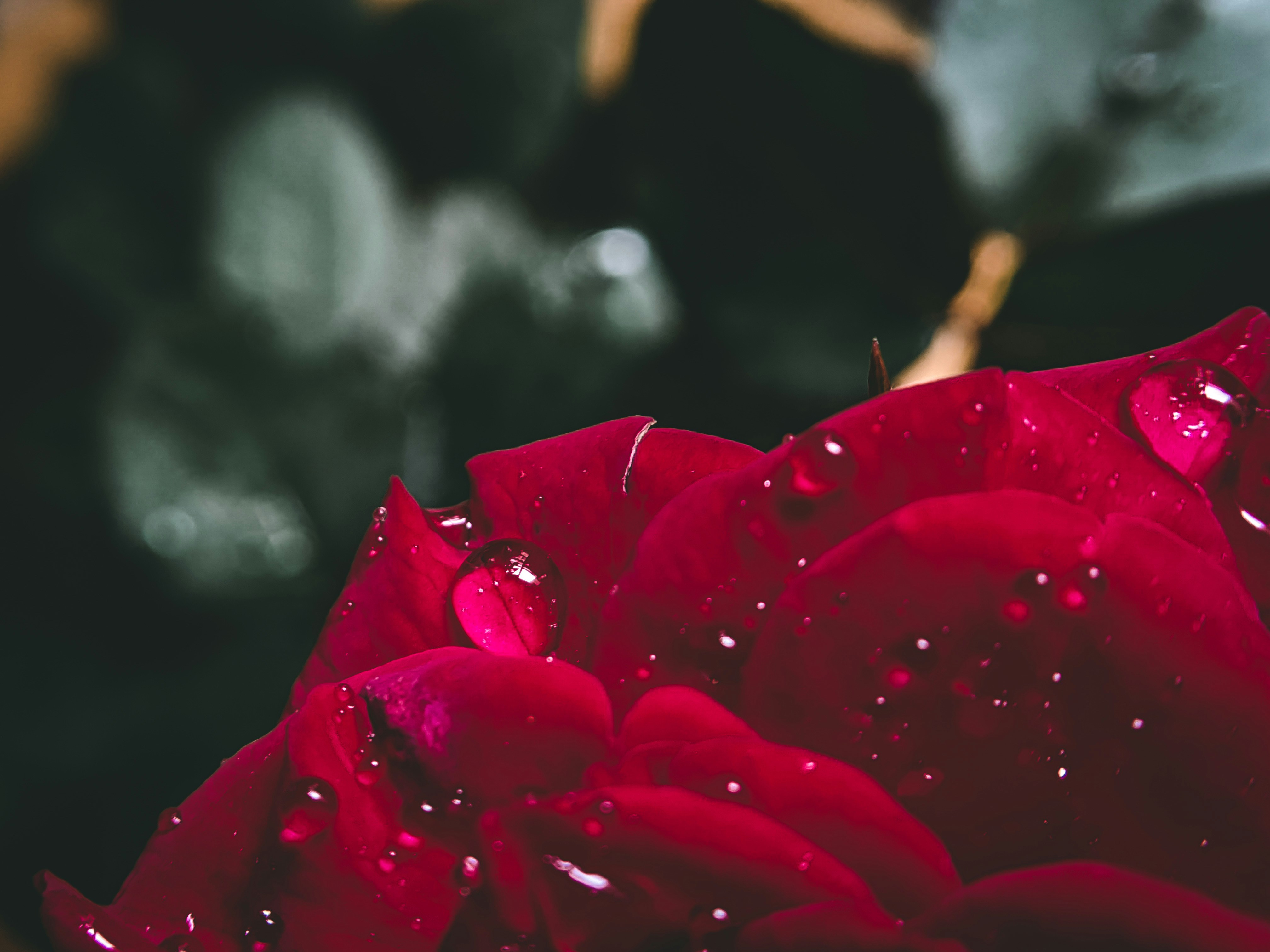 Photo by eyesofframe1