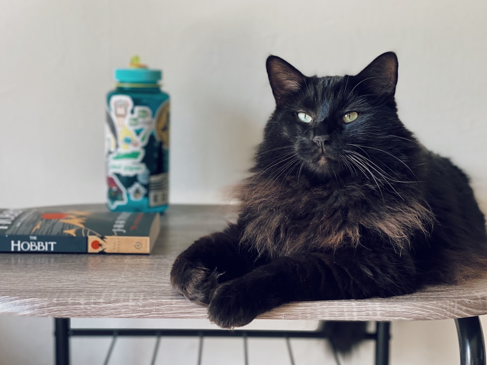 茶色の木製のテーブルに黒猫
