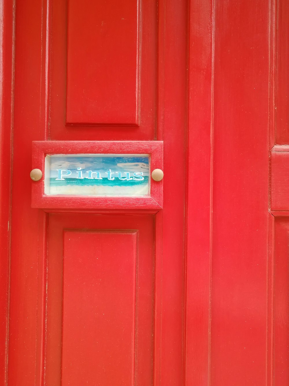blue and white plastic pack on red wooden door