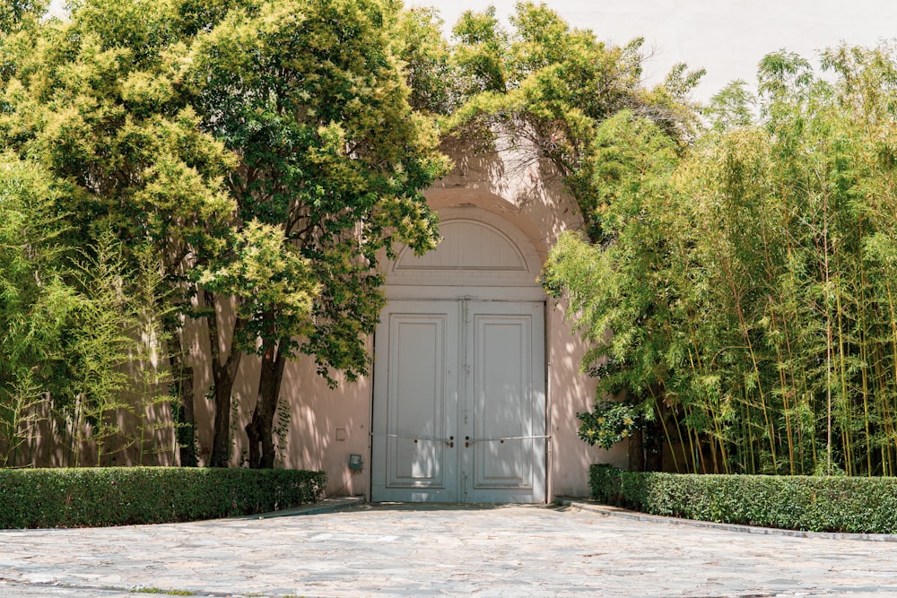 white wooden door near green trees during daytime