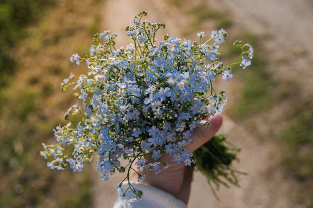 person holding blue and green flower bouquet