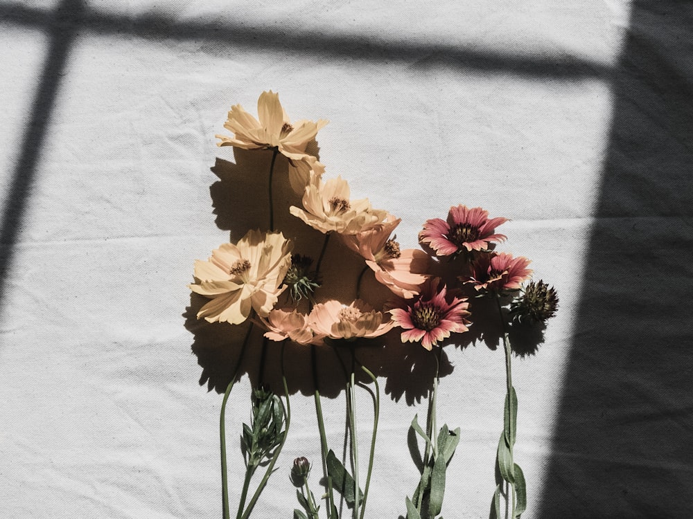 brown and red flowers on green leaves