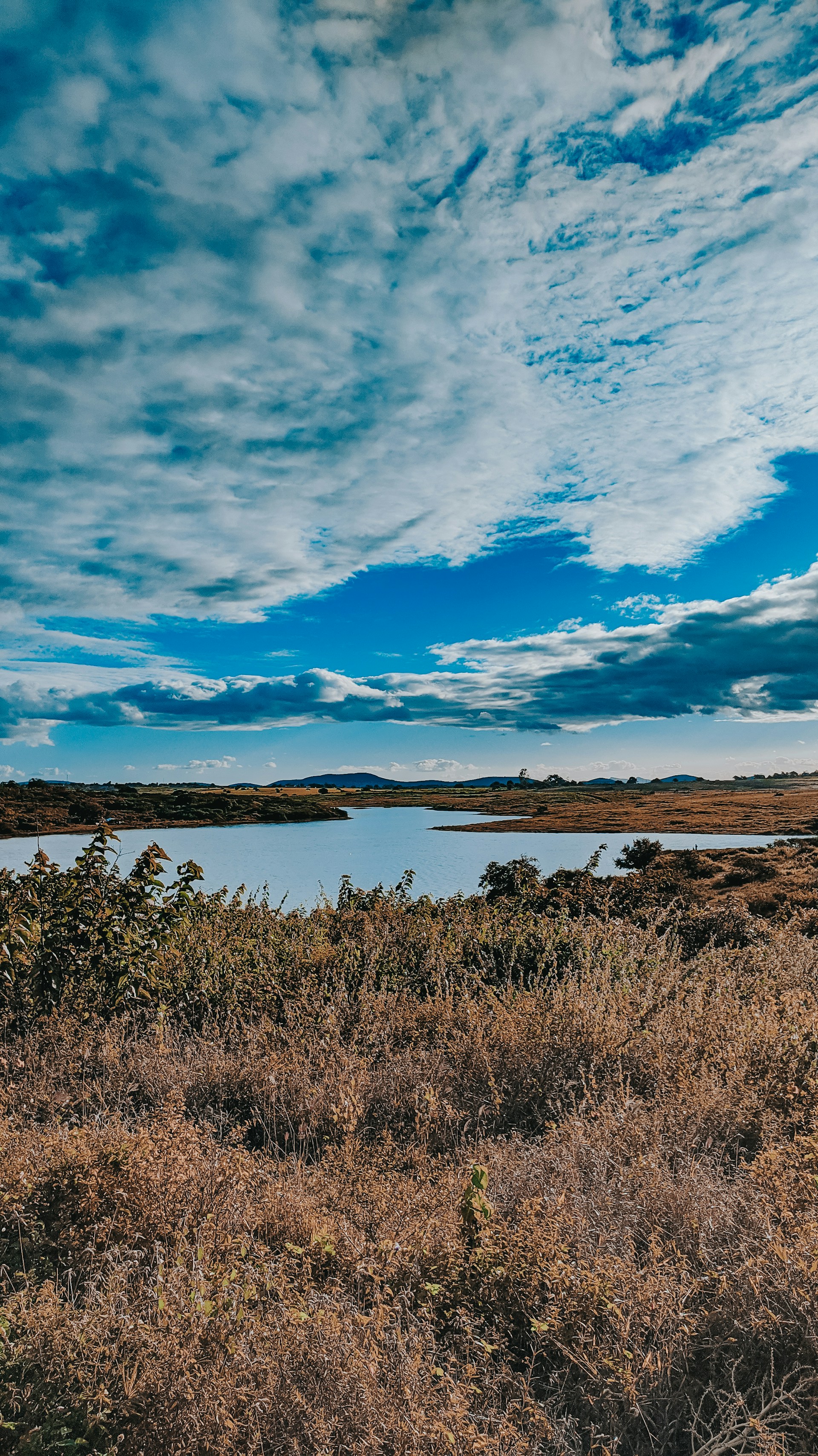 green grass near body of water under blue sky during daytime