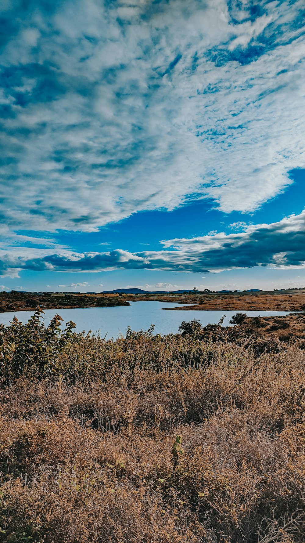 green grass near body of water under blue sky during daytime