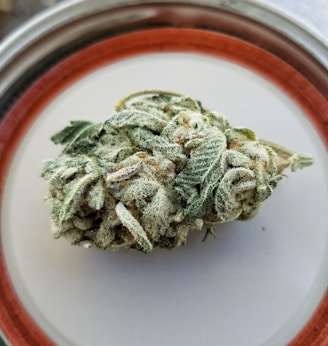 Green Crack Bud