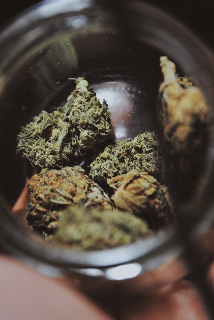 Purple Haze