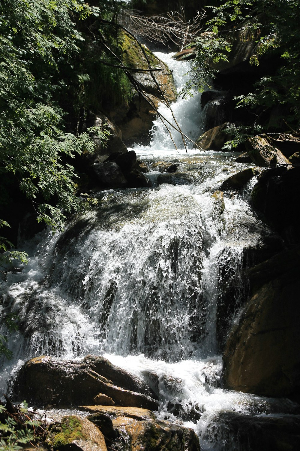 water falls in the middle of the forest