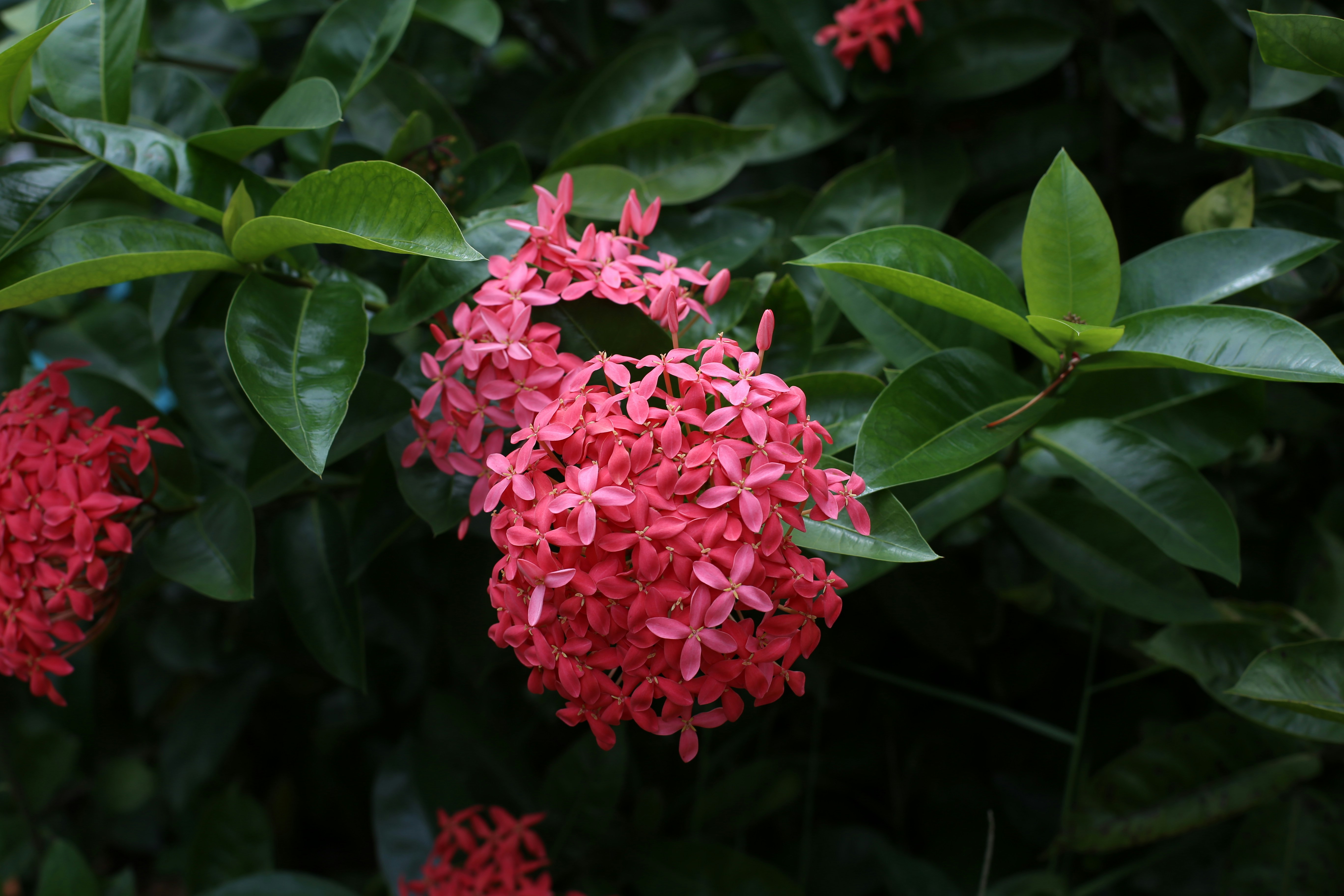 Photo by marcusurbenz