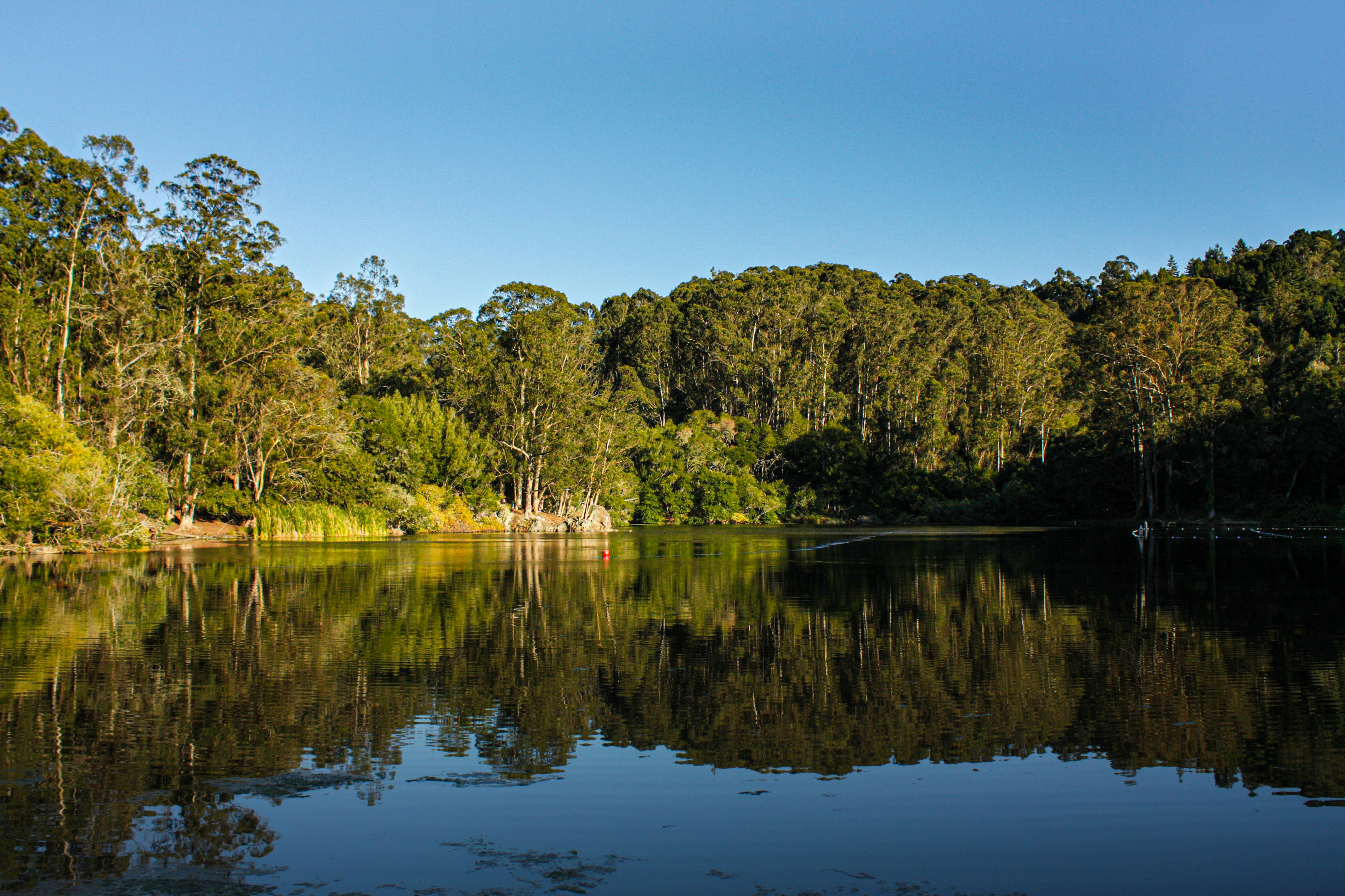 Photo by parsoakhorsand