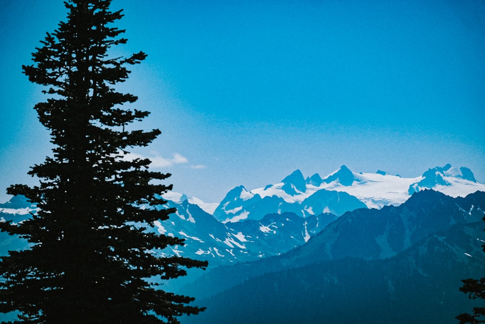 montanha coberta de neve sob o céu azul durante o dia