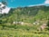 A lush green landscape featuring rolling hills covered in dense foliage and tea plantations. Several small houses with red and white rooftops are scattered throughout the valley. Tall trees and a bright blue sky complete the serene scenery.