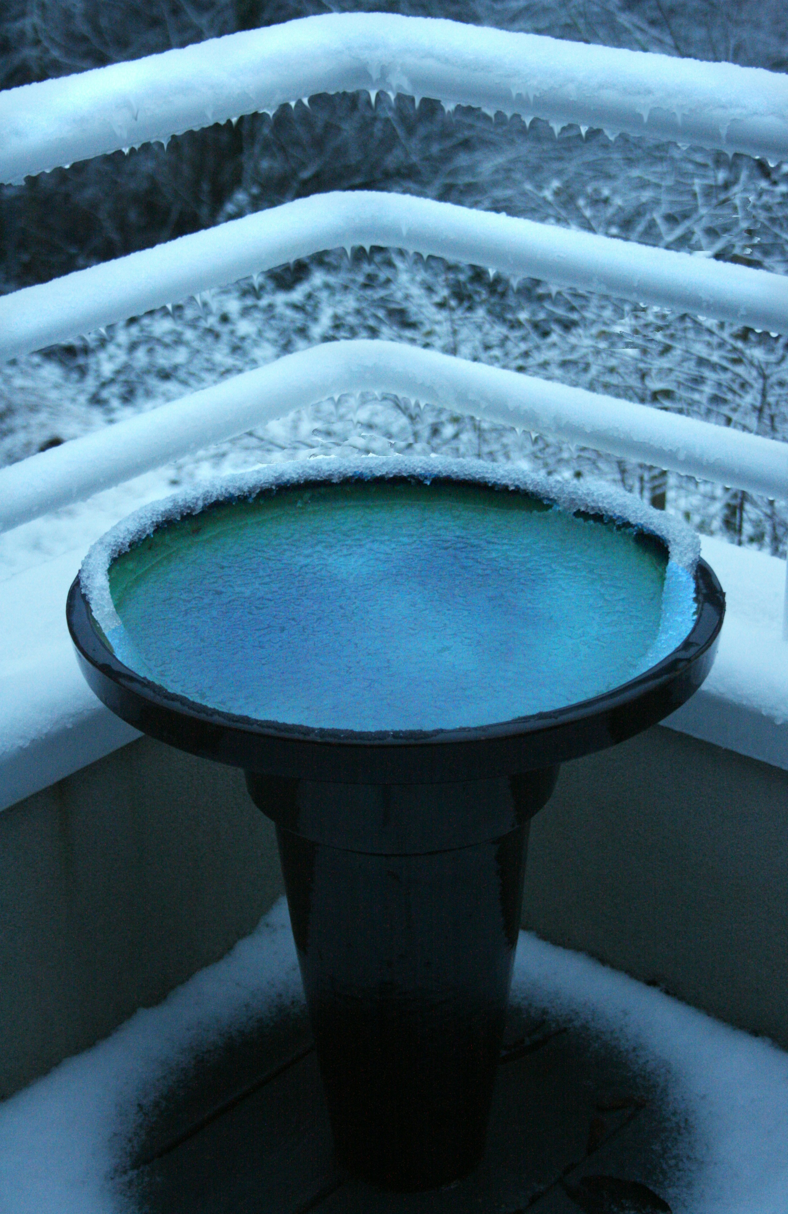 Prepare for the First Freeze of the Season: What You Need to Know