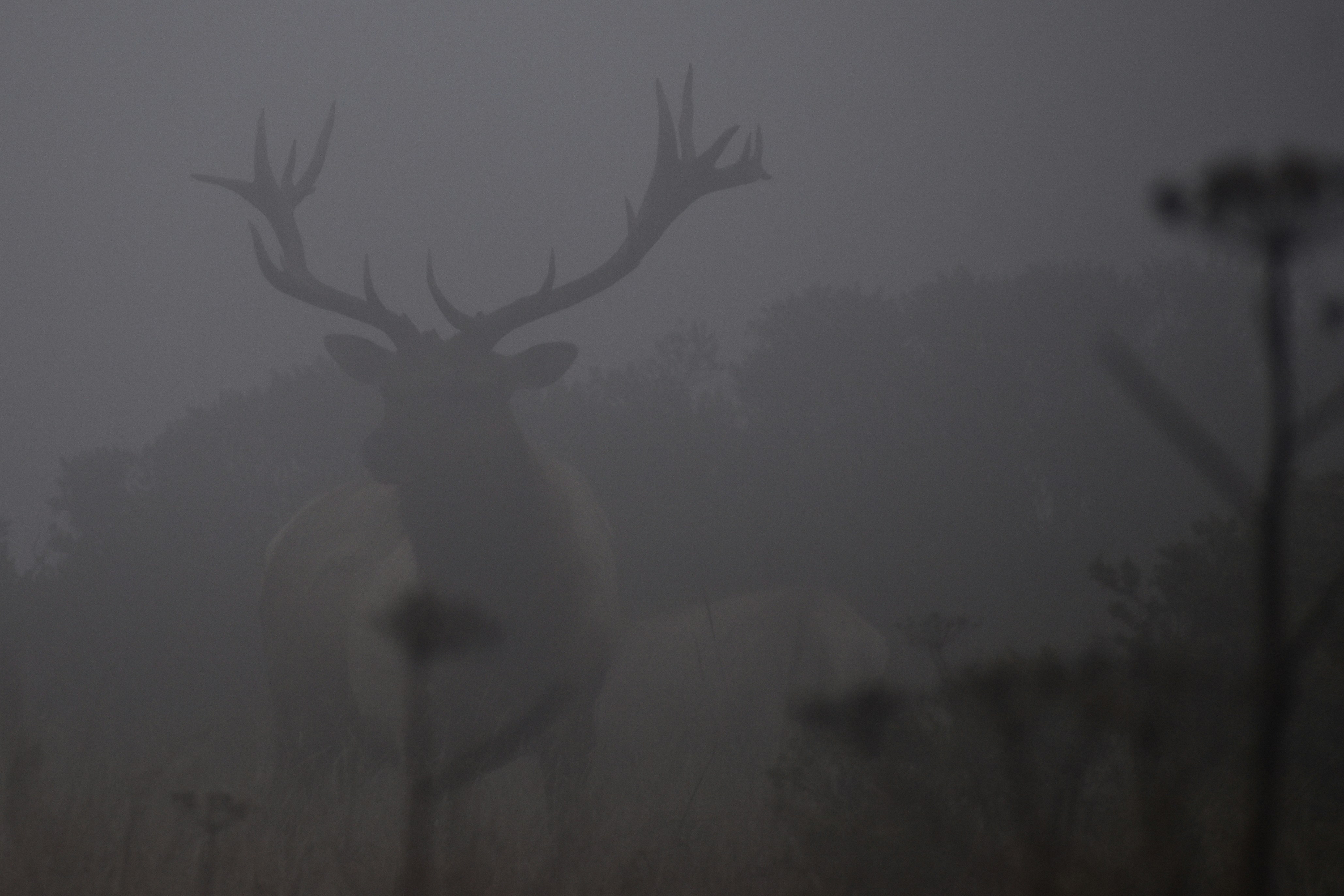 Photo by elisastonephotography