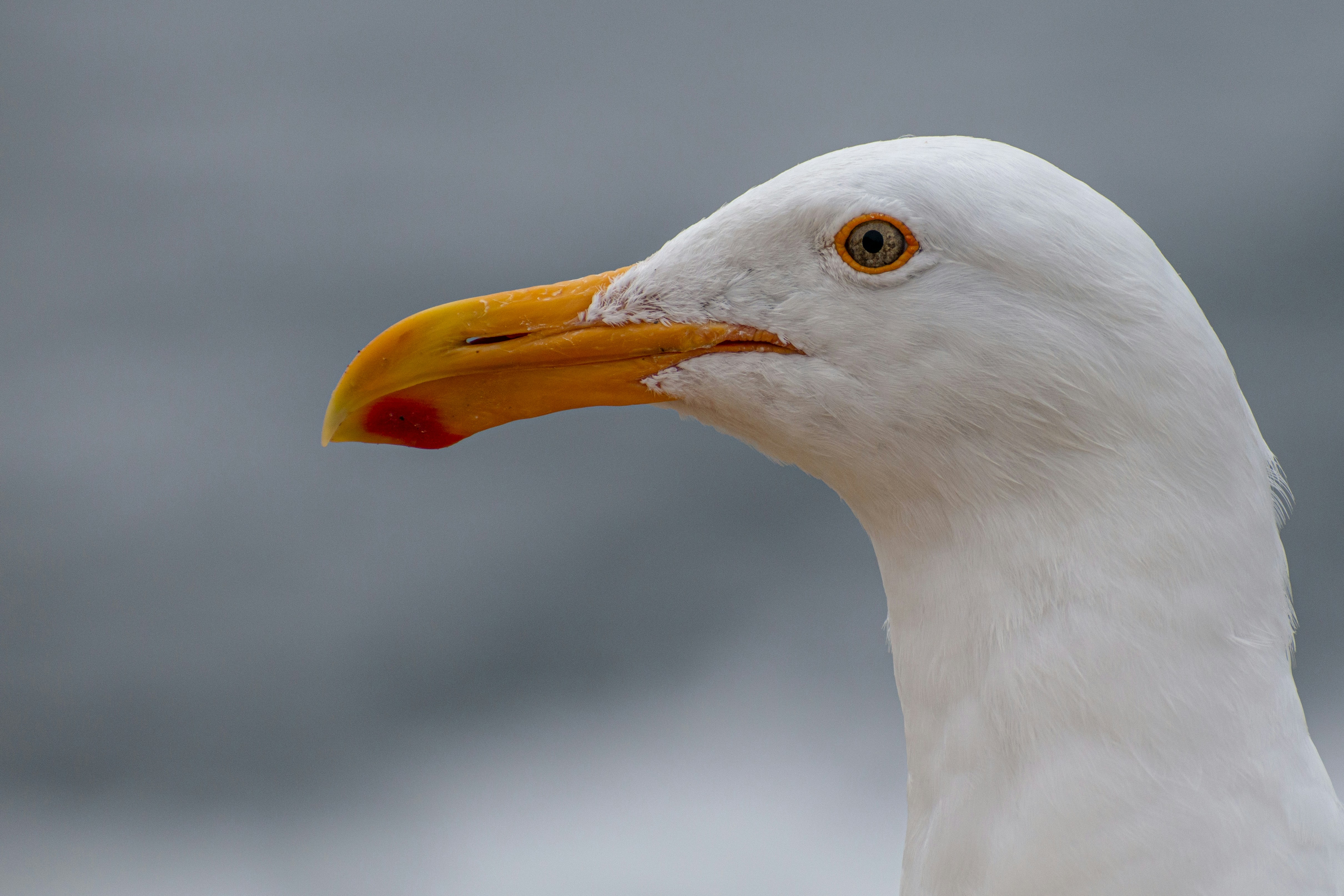 Photo by elisastonephotography