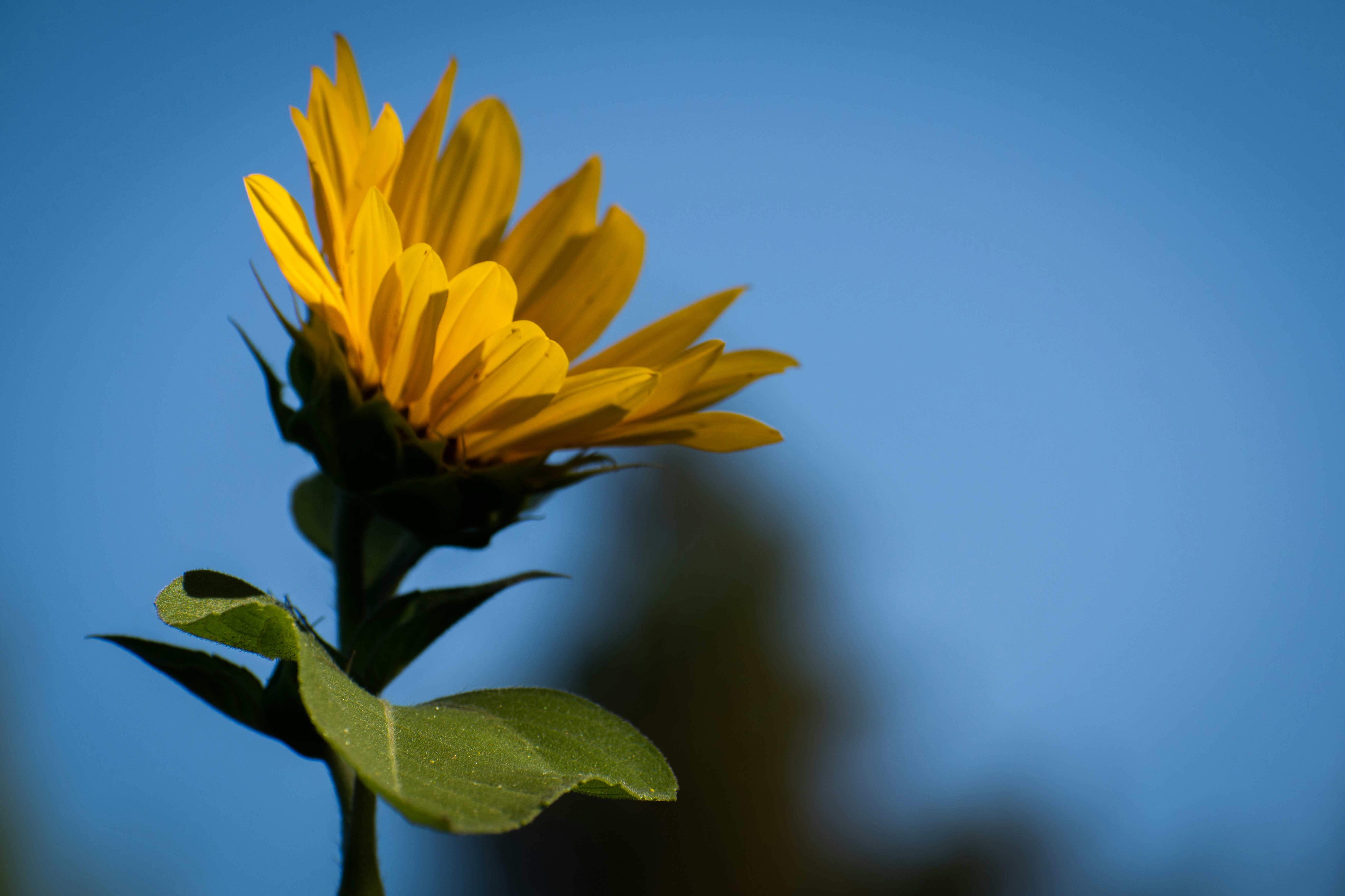 Photo by elisastonephotography