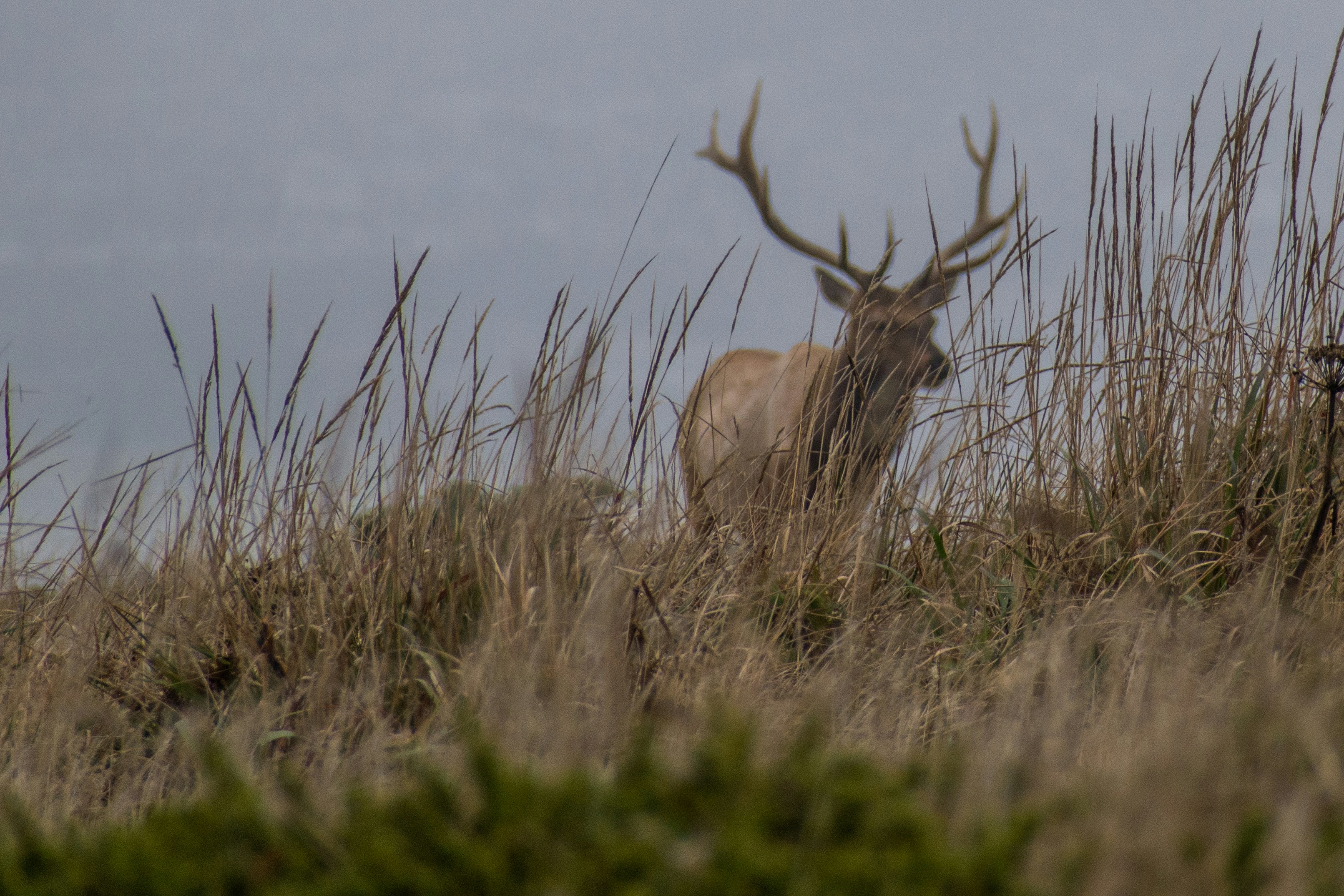 Photo by elisastonephotography