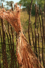 A bundle of natural grass brooms tied with twine resting against a rustic wooden wall.