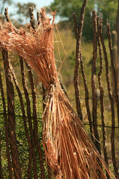 A bundle of natural grass brooms tied with twine resting against a rustic wooden wall.