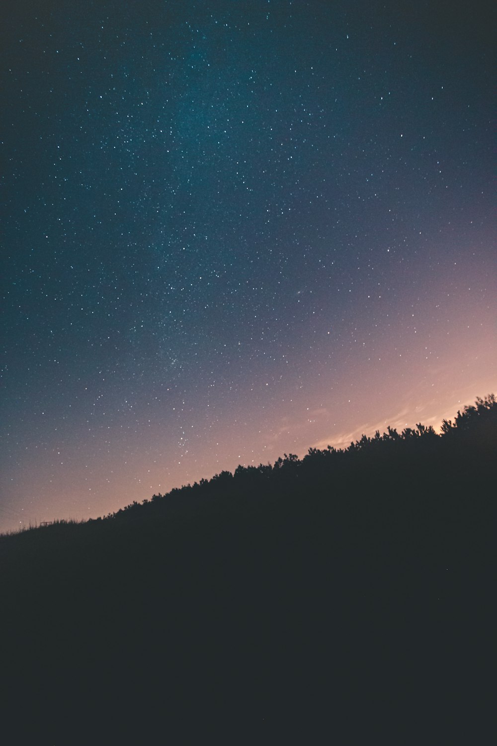 silhouette of trees under blue sky during night time