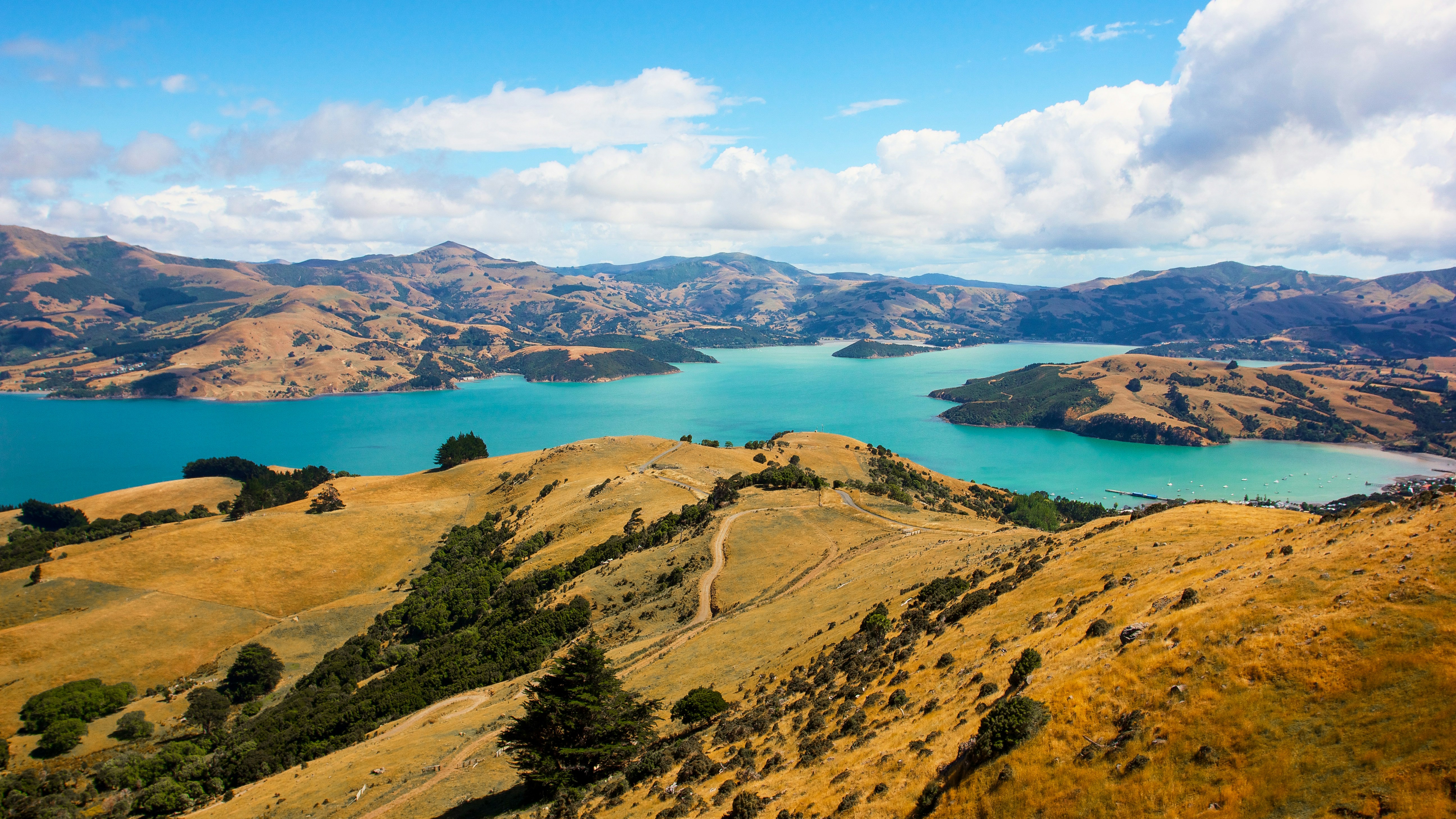 green grass field near blue lake under blue sky during daytime, New Zealand Landscape Photography by Benjamin Kraus