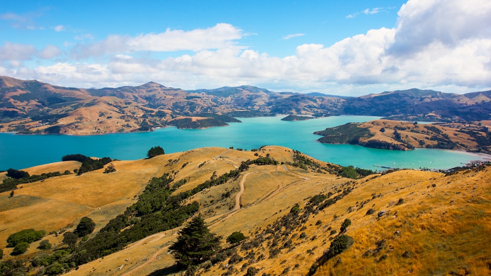 Campo de hierba verde cerca de Blue Lake bajo el cielo azul durante el día