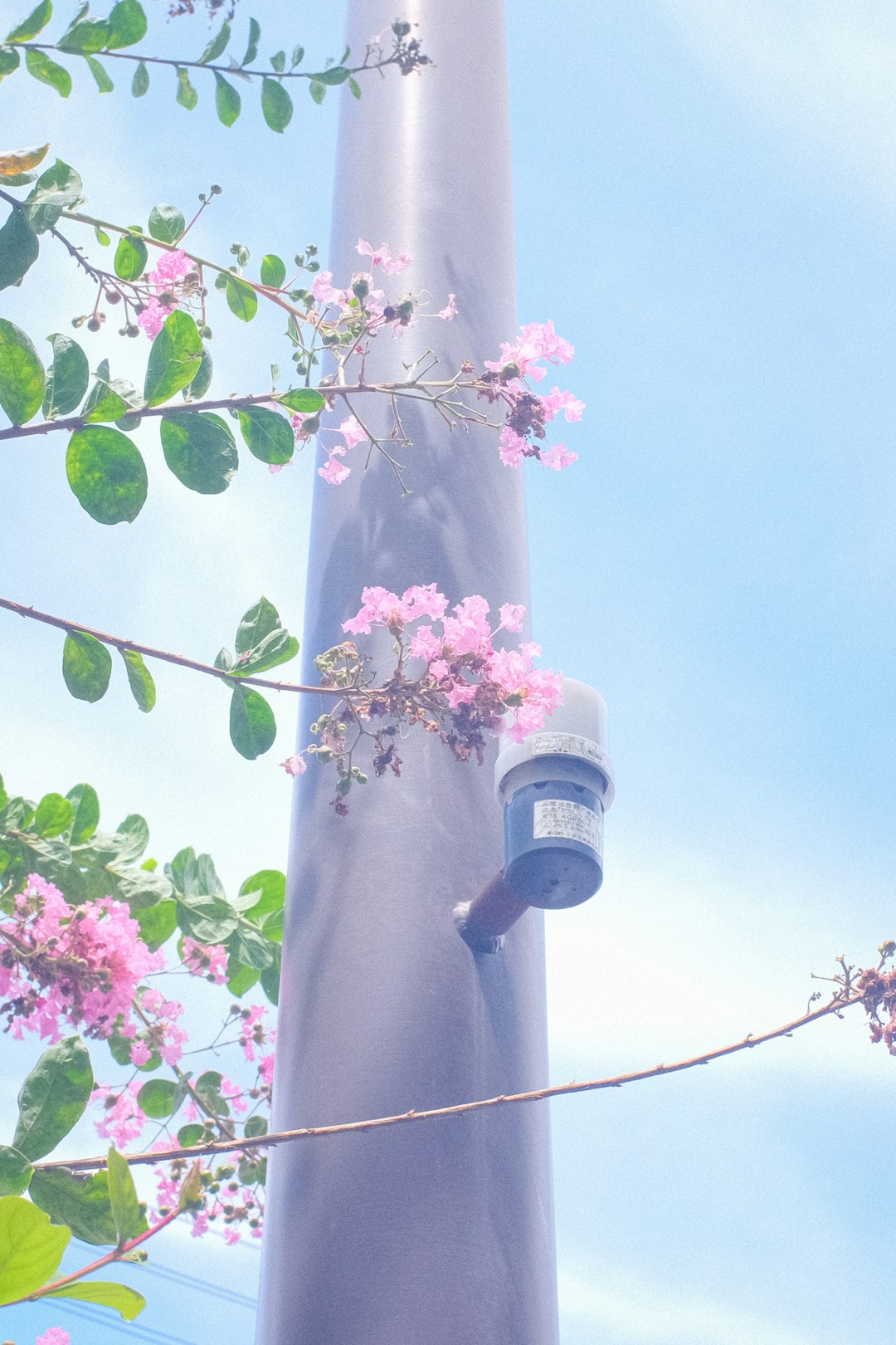 white and pink floral cross on gray post