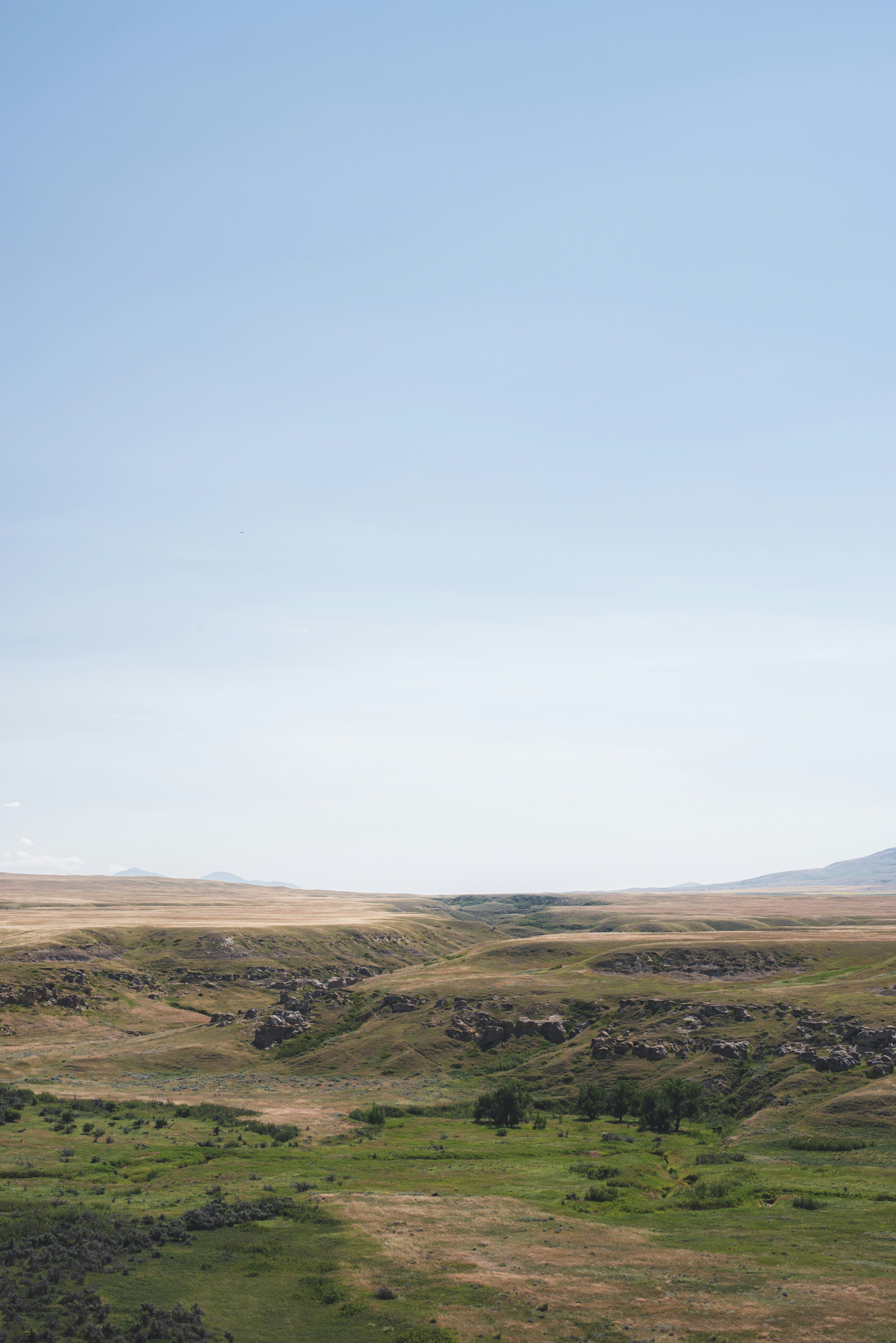 Photo by ryunosuke_kikuno