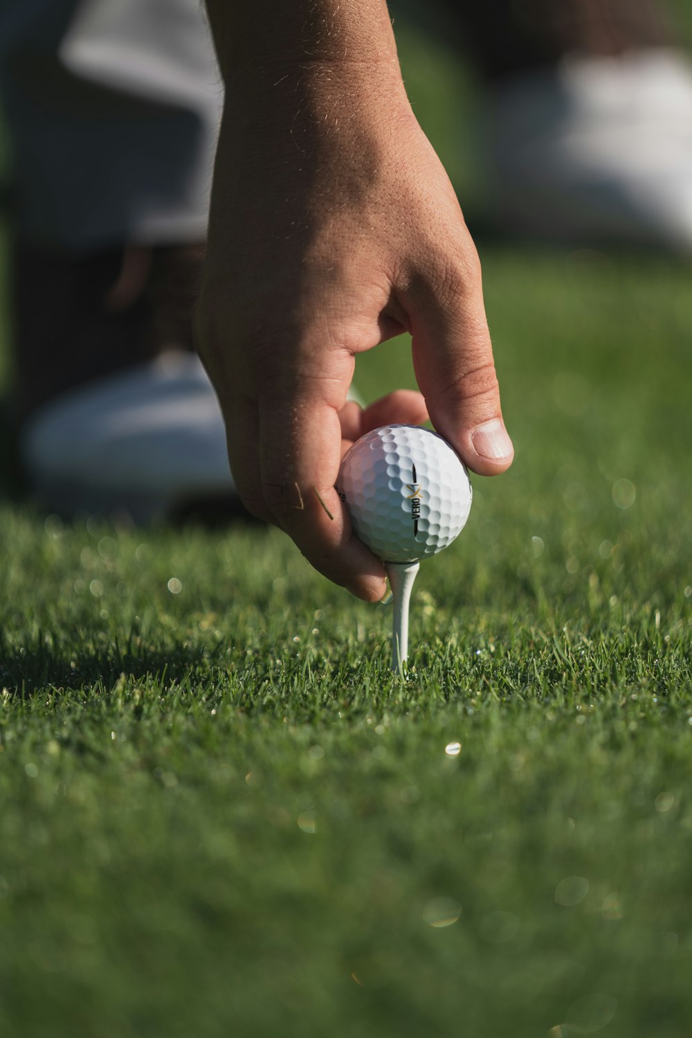 personne tenant une balle de golf blanche