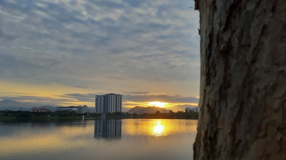 body of water near city buildings during sunset