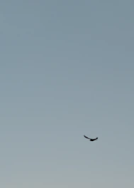 A nightingale breaking free from a dark cage, symbolizing liberation and new philosophical beginnings.