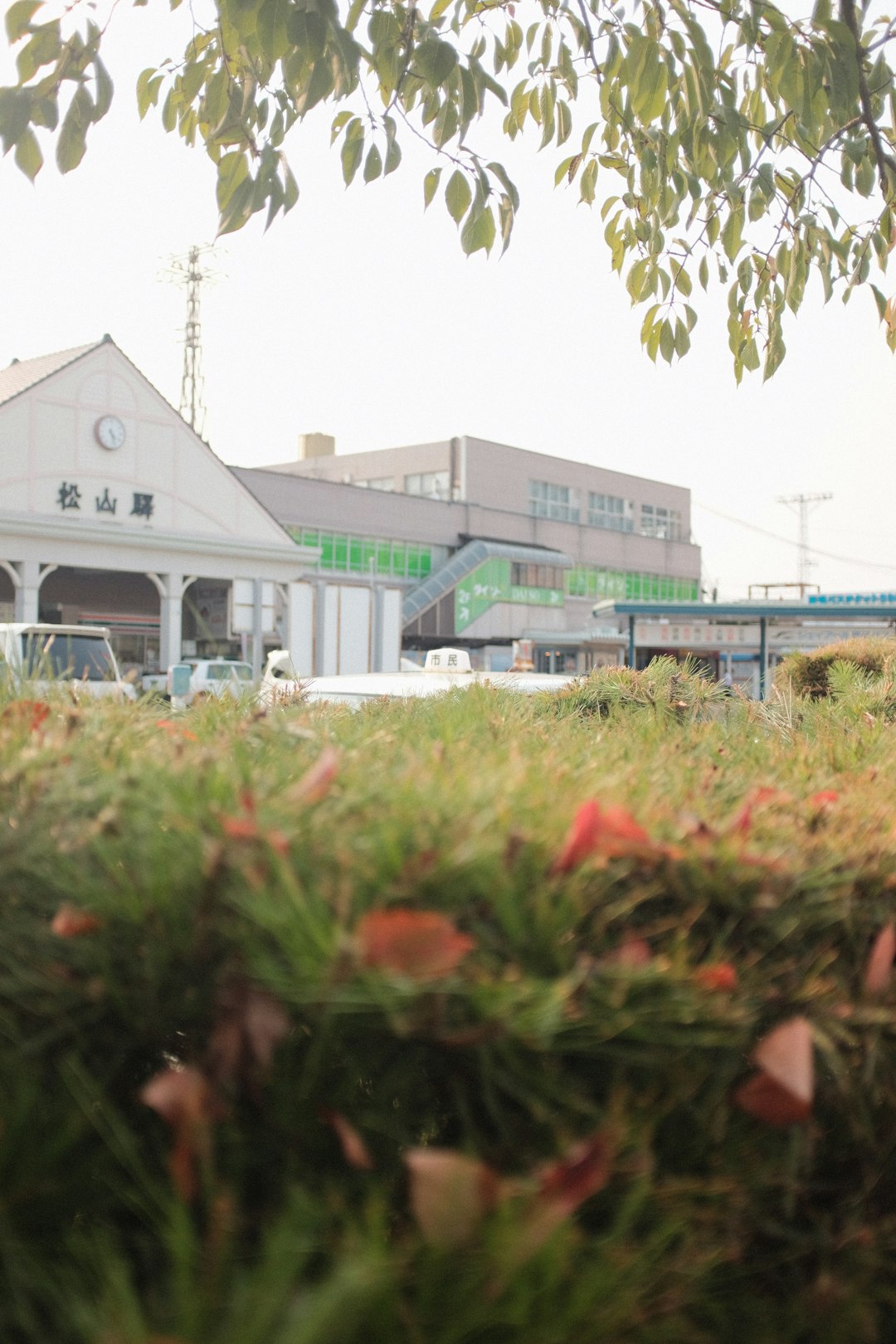 green and white concrete building