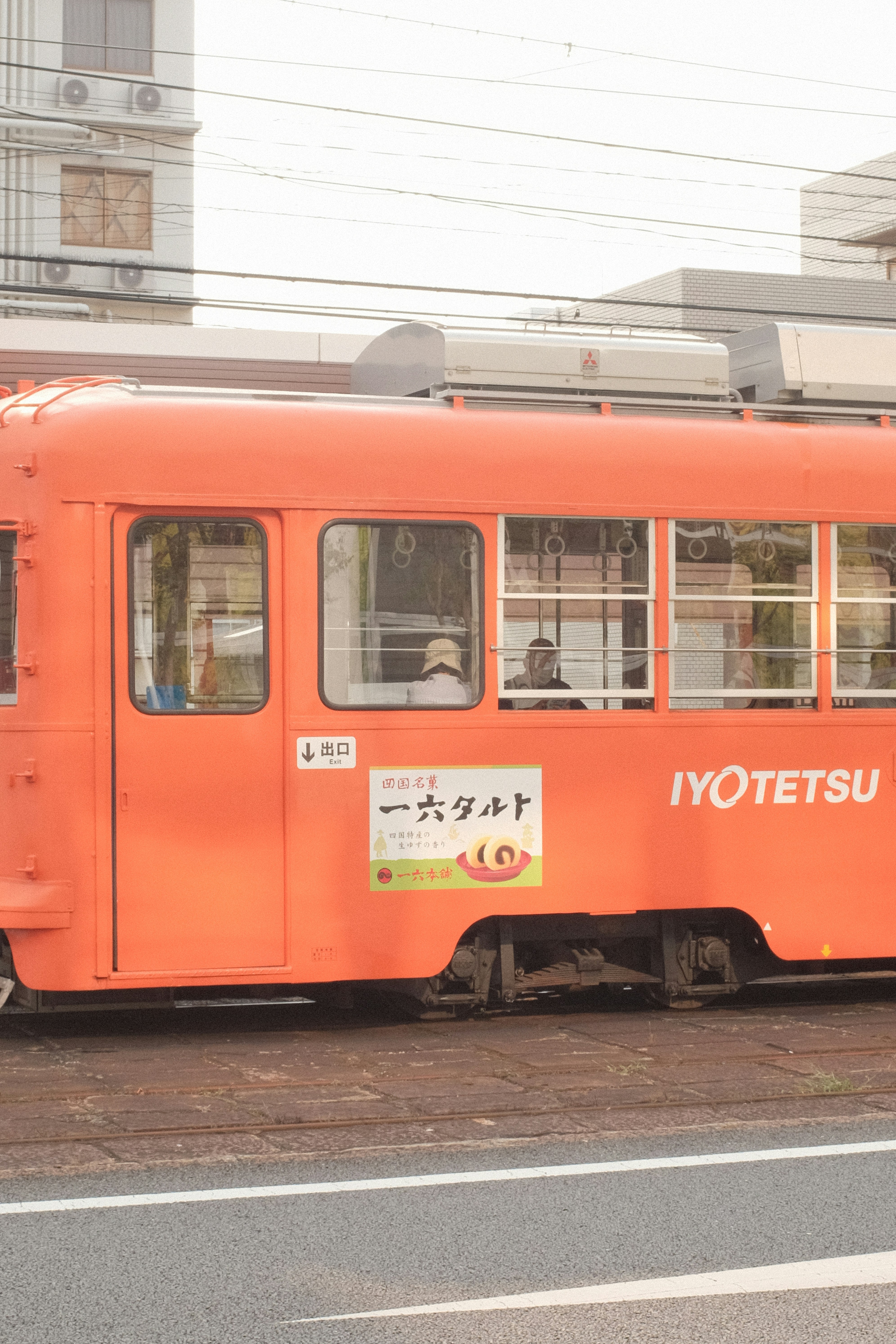 red and white train on rail