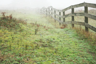 Site photo from inspection