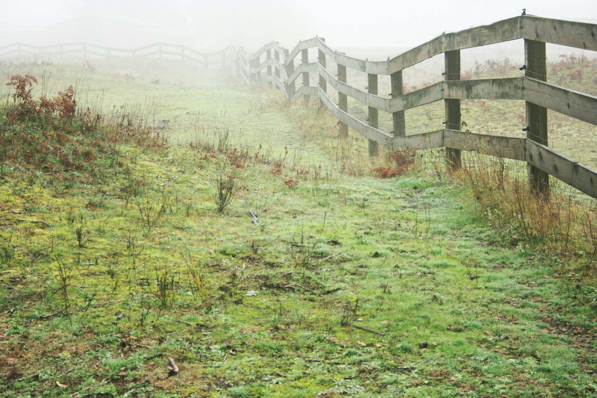 A very foggy morning on my friend's farm near Chehalis, Washington.  He had many horses and was always checking his fence for damage.