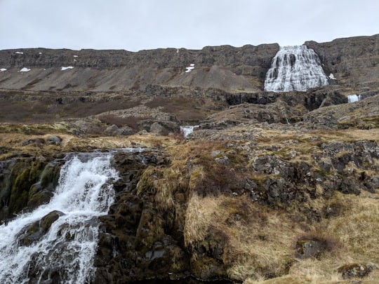 waterfalls near brown and green grass field during daytime in Dynjandi Iceland
